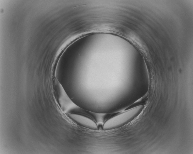 X0000087681192200705181722