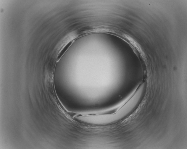 X0000087681193200705181722