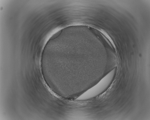 X0000087681197200705181722