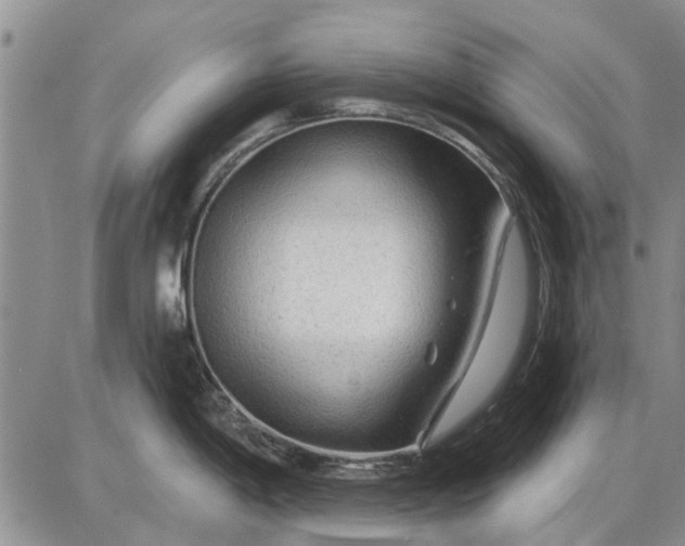 X0000087681198200705181722