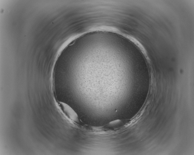 X0000087681199200705181722