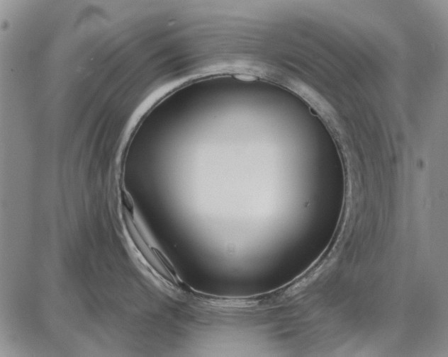 X0000087681200200705181722