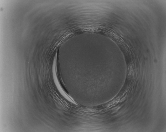 X0000087681202200705181721