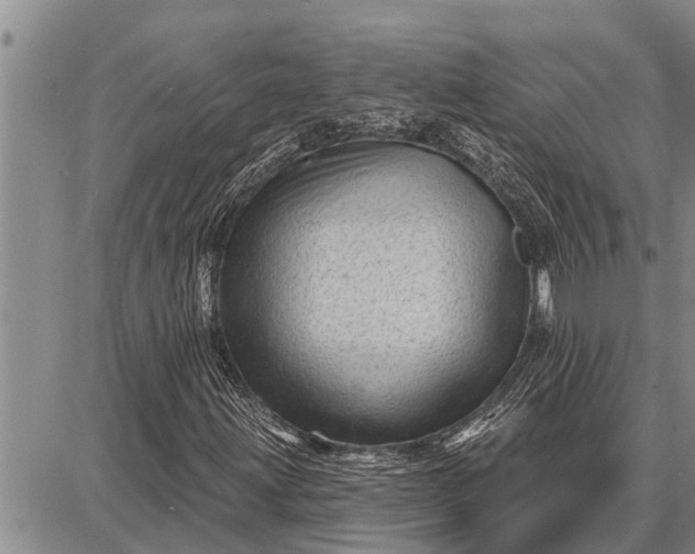 X0000087681203200705181721