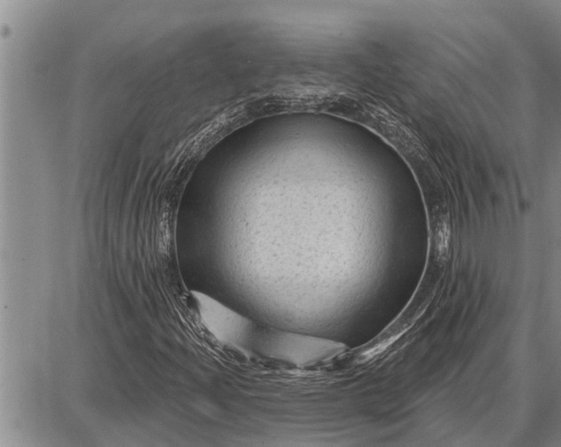 X0000087681204200705181721