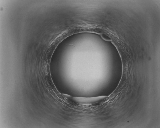 X0000087681205200705181721