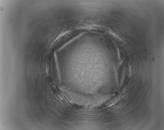 X0000087681206200705181721