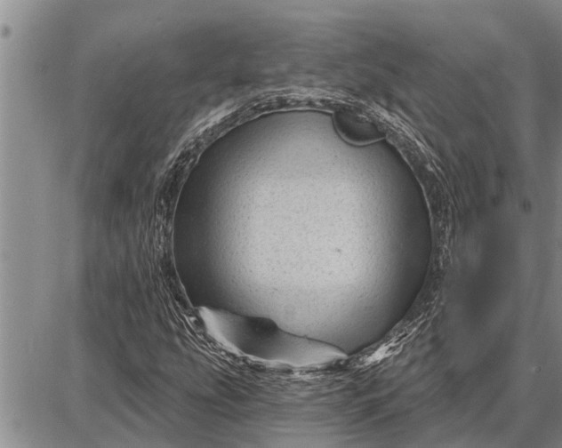 X0000087681207200705181721