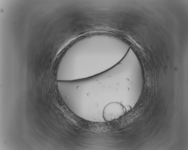 X0000087681208200705181721