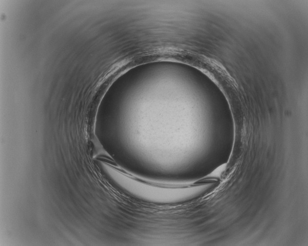 X0000087681209200705181721