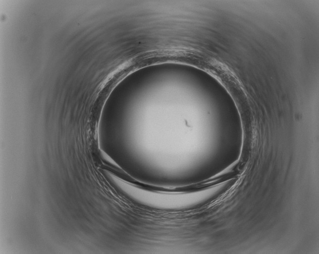 X0000087681210200705181721