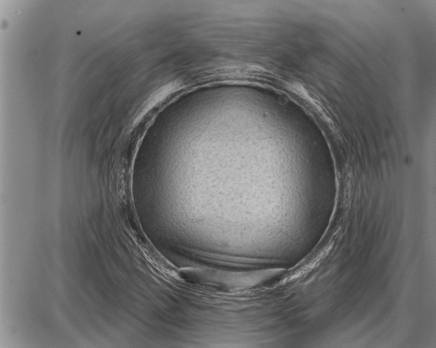 X0000087681211200705181721