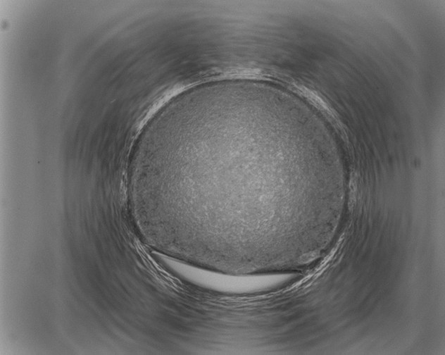 X0000087681212200705181721