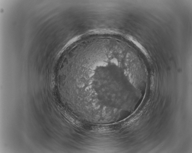 X0000087681213200705181721