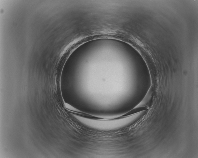 X0000087681214200705181721