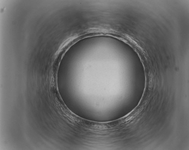 X0000087681215200705181721