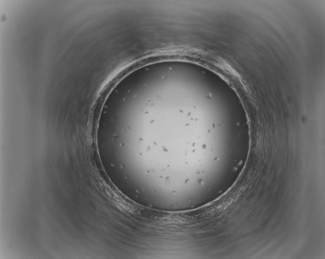 X0000087681216200705181721