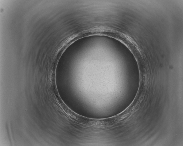 X0000087681217200705181721