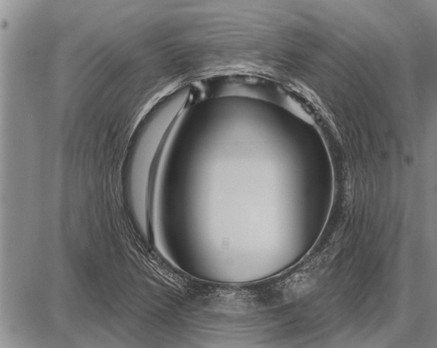 X0000087681218200705181721