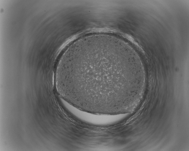 X0000087681221200705181721