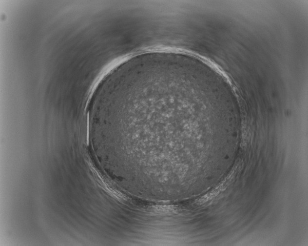 X0000087681223200705181721