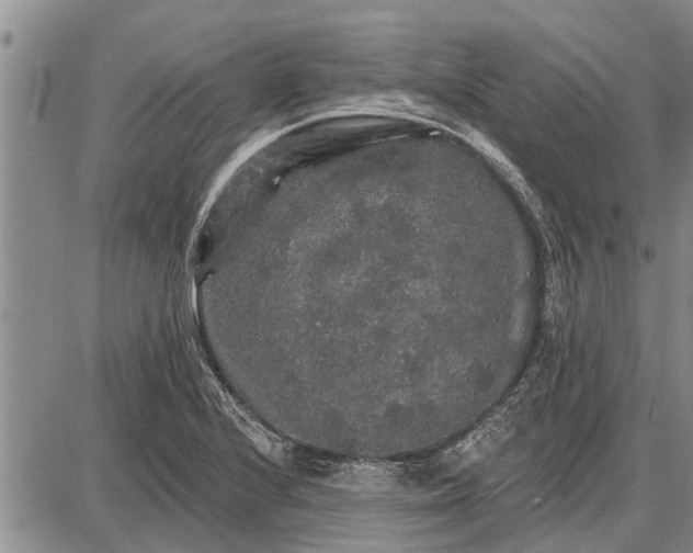 X0000087681224200705181721