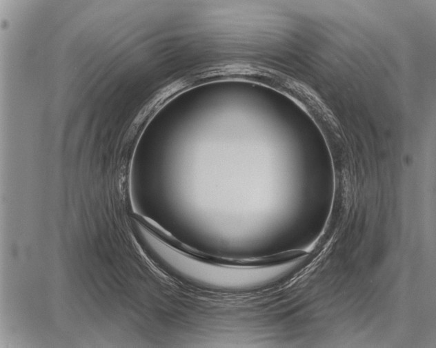 X0000087681225200705181721