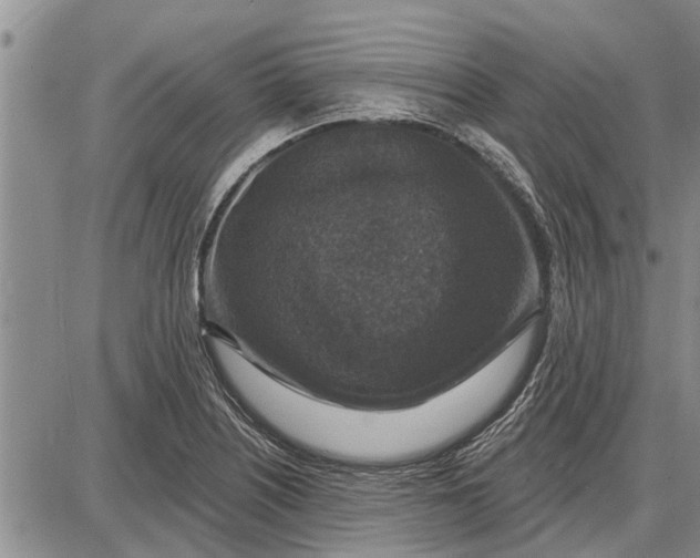 X0000087681226200705181721