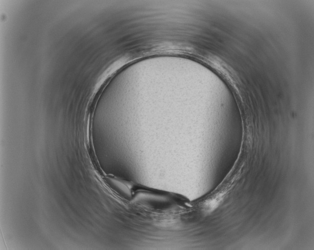 X0000087681227200705181721