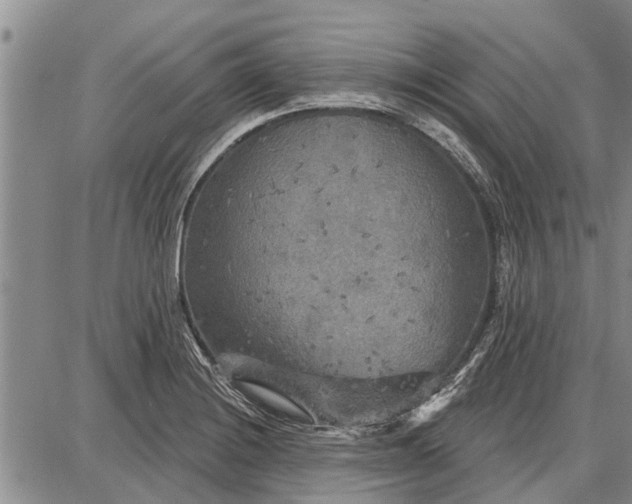 X0000087681228200705181721