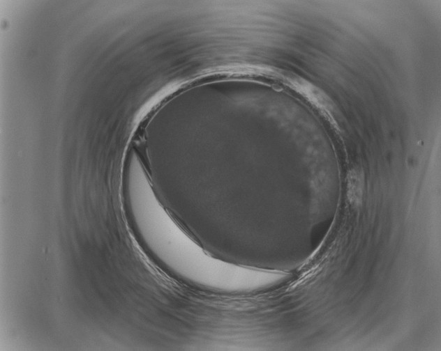 X0000087681229200705181721