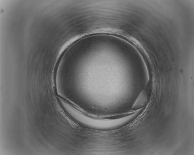 X0000087681230200705181721