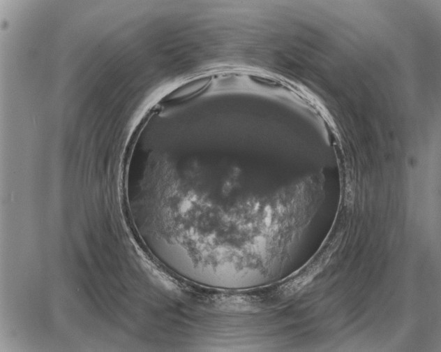 X0000087681231200705181721