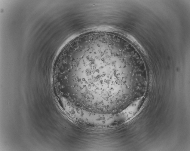 X0000087681232200705181721