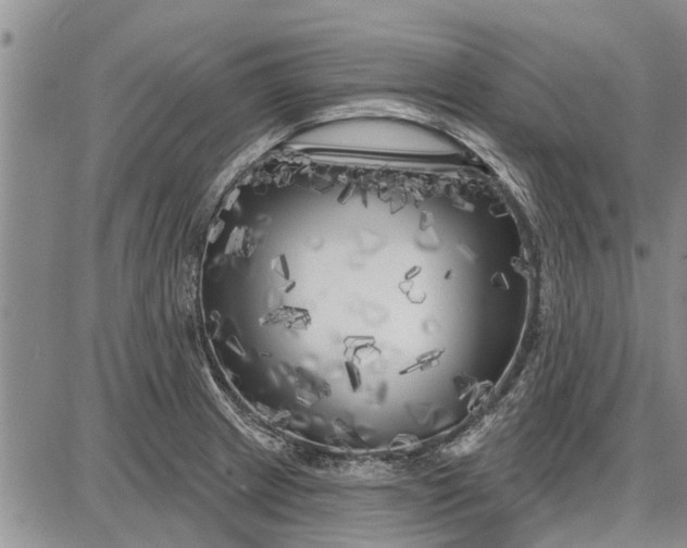 X0000087681233200705181721