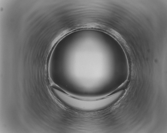 X0000087681234200705181721