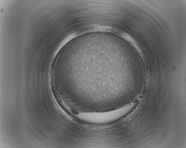 X0000087681235200705181721