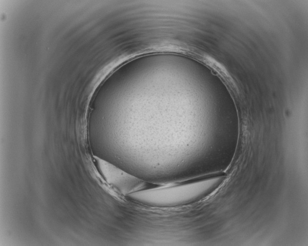 X0000087681236200705181721