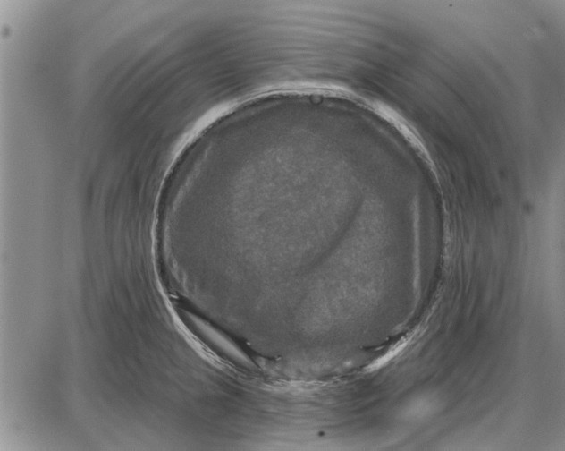 X0000087681237200705181721