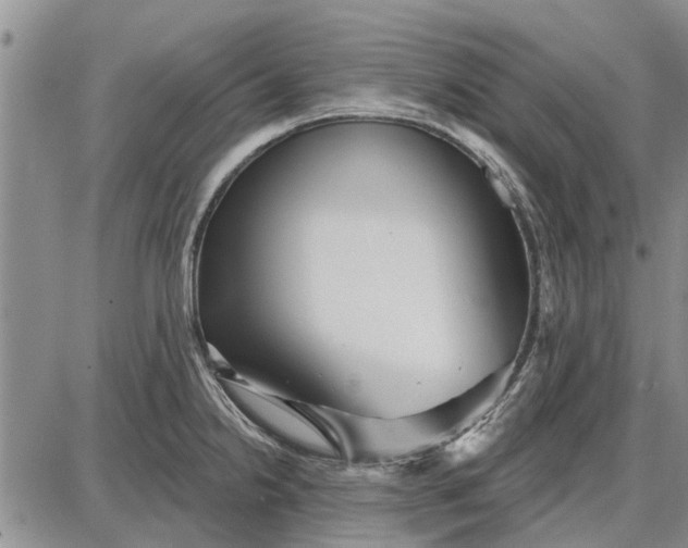 X0000087681238200705181721