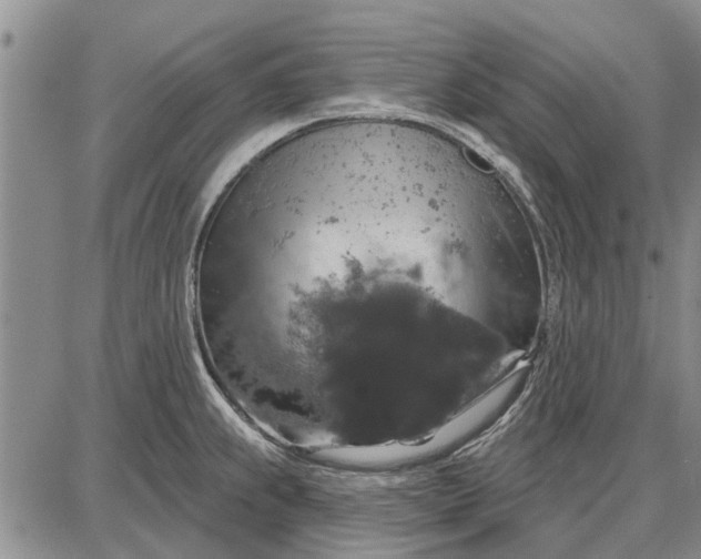 X0000087681239200705181721