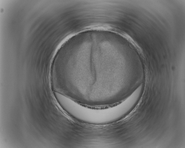 X0000087681240200705181722