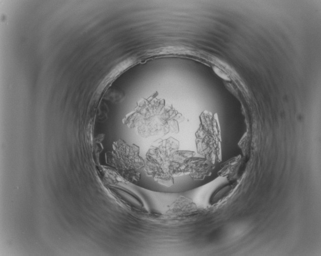 X0000087681241200705181722