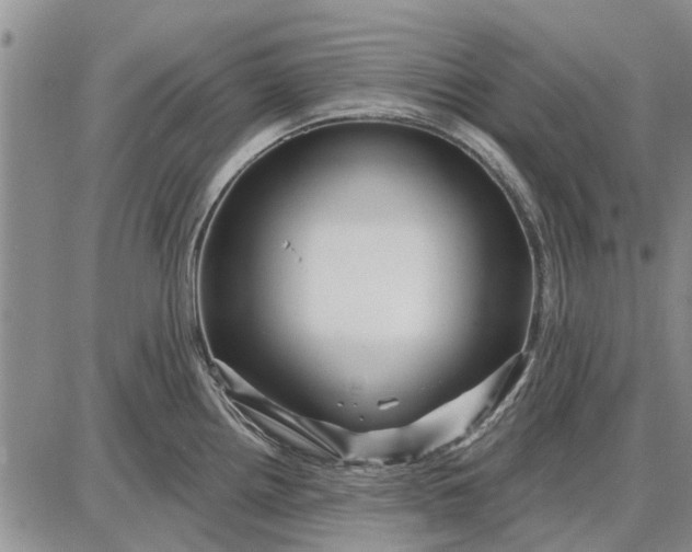 X0000087681242200705181722