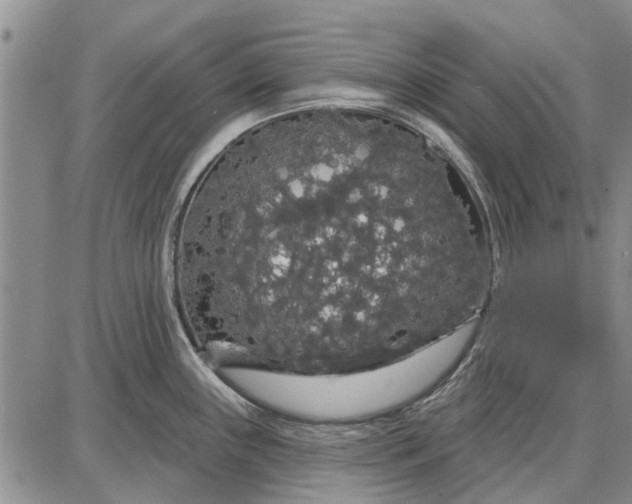 X0000087681243200705181722