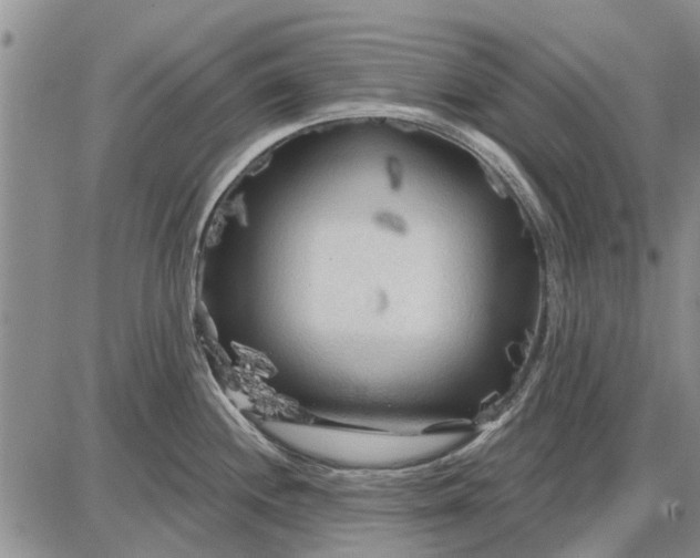 X0000087681244200705181722