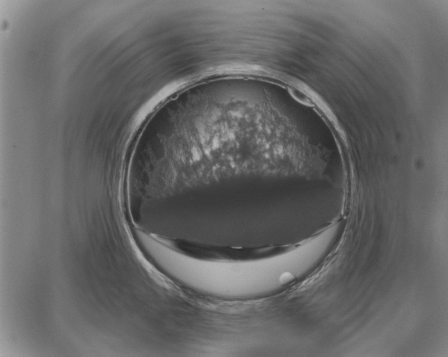 X0000087681245200705181722