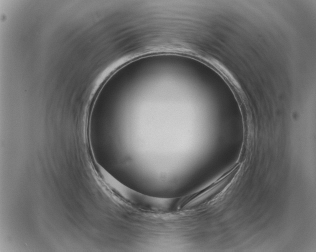 X0000087681246200705181722