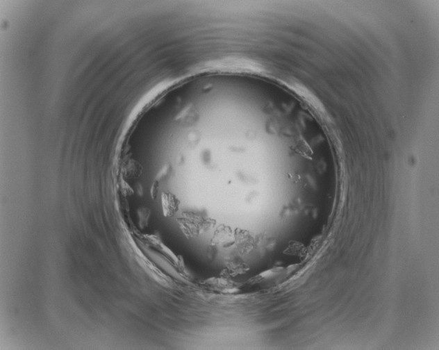 X0000087681248200705181722