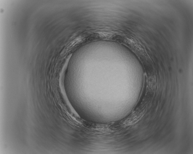 X0000087681249200705181721